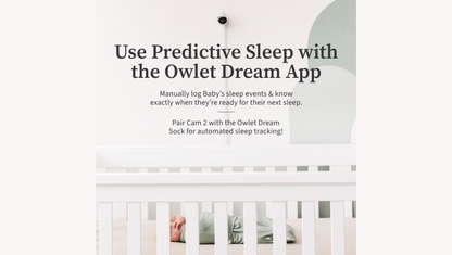 Owlet® Cam 2