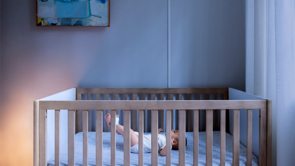 Owlet® Dream Duo