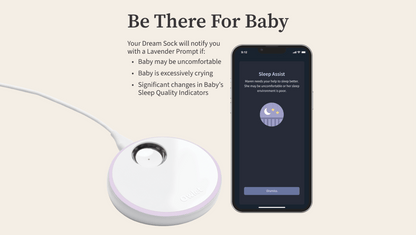 Owlet® Dream Sock