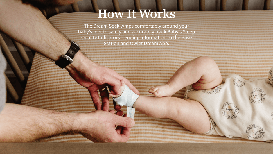 Owlet® Dream Sock