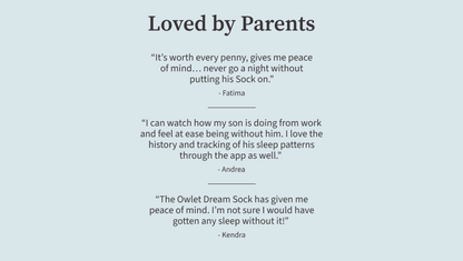 Owlet® Dream Sock