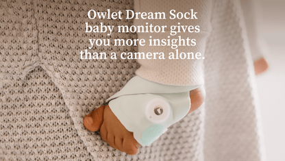 Owlet® Dream Sock